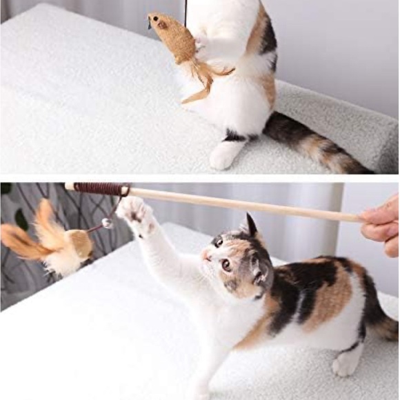 Cat Toys for Indoor Cats, Interactive Cat Toy 7PCS Retractable Cat Wand Toy - Picture 7 of 7